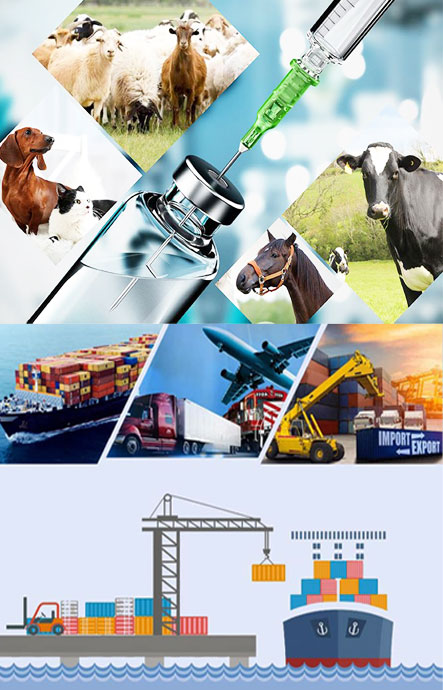 خدمات نوژان مهر خدمات نوژان مهر